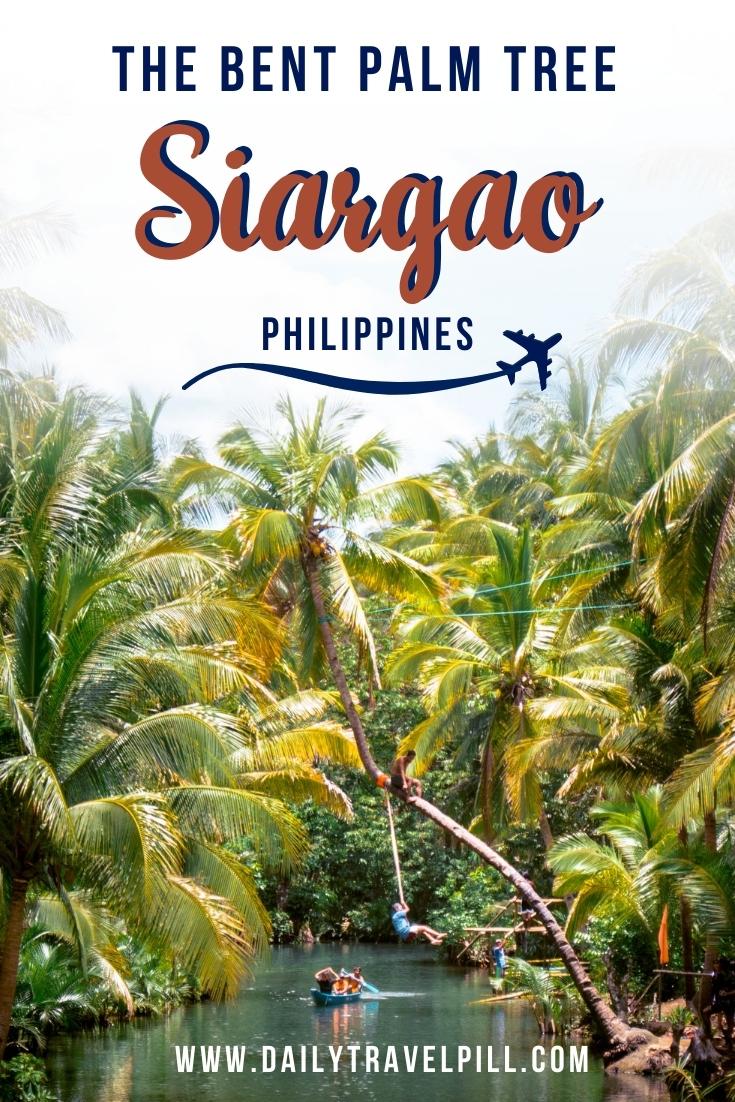 Siargao Bent Palm Tree Swing Travel Guide