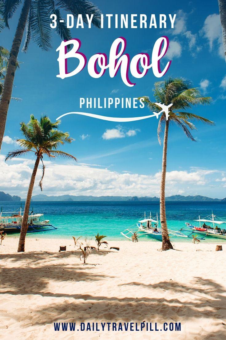a beach with palm trees in Bohol, Philippines