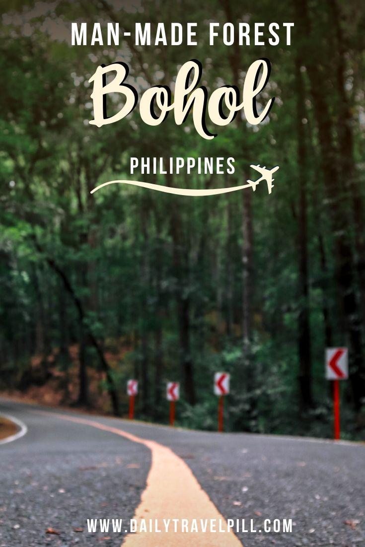 Bilar Loboc Man Made Forest in Bohol, Philippines