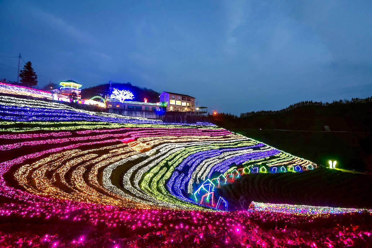 Boseong Tea Plantation Light Festival in South Korea in winter - things to do in Korea in Winter, winter destinations in Korea, winter activities in South Korea