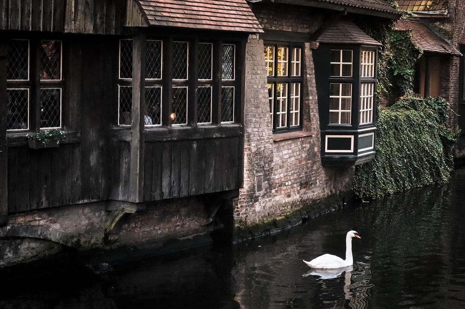 View from Bonifacius Bridge Bruges