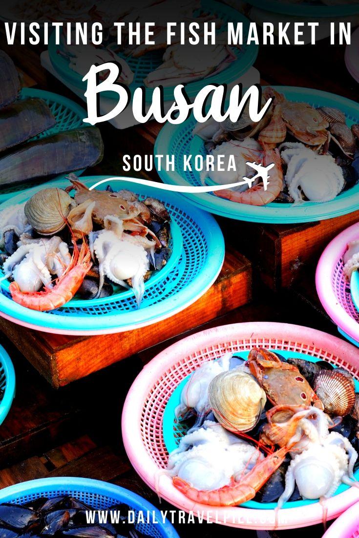 Jagalchi Fish Market Busan, South Korea