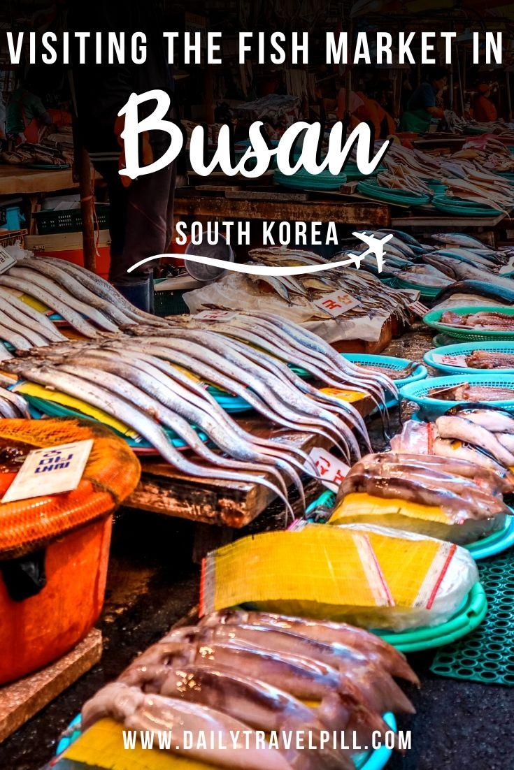 Jagalchi Fish Market Busan, South Korea