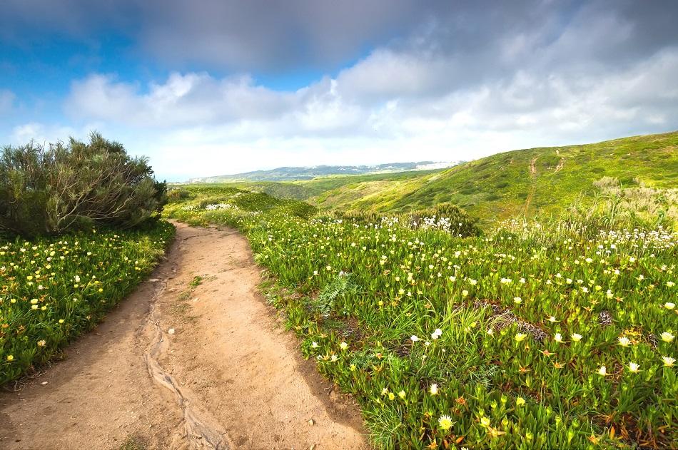 Cabo da Roca dirt road