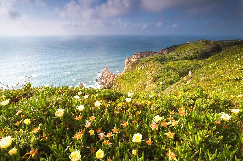 Cabo da Roca, Sintra vegetation and flowers