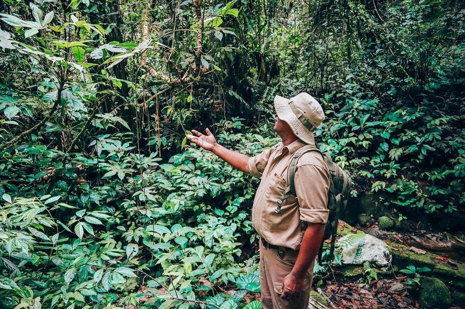 Jim Thompson Mystery Trail at Cameron Highlands Resort with naturalist Madi