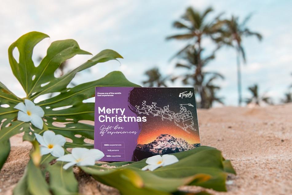 Christmas gift ideas for travelers