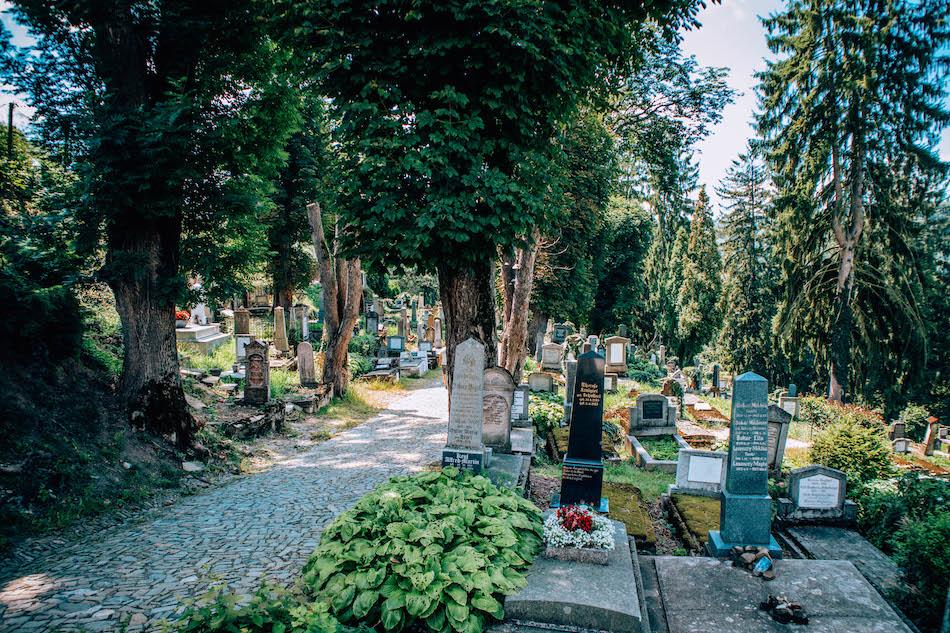 Saxon graveyard Sighisoara Fortress Romania