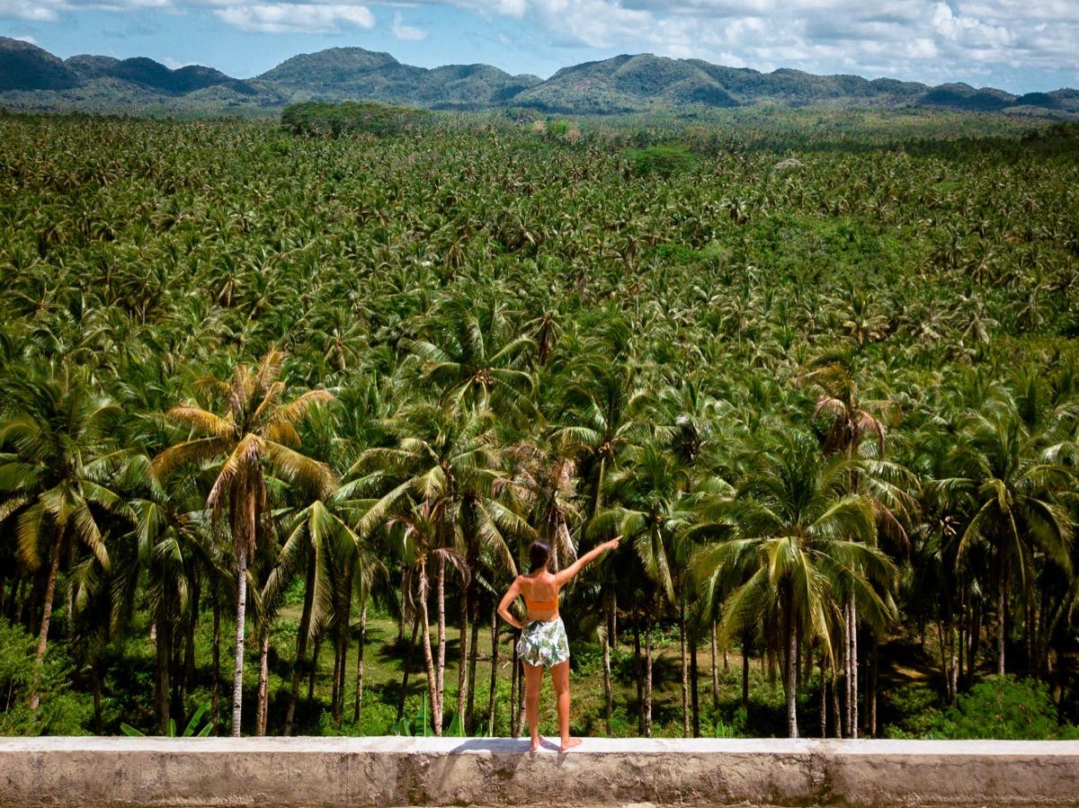 Aurelia Teslaru at Palm Tree viewpoint Siargao