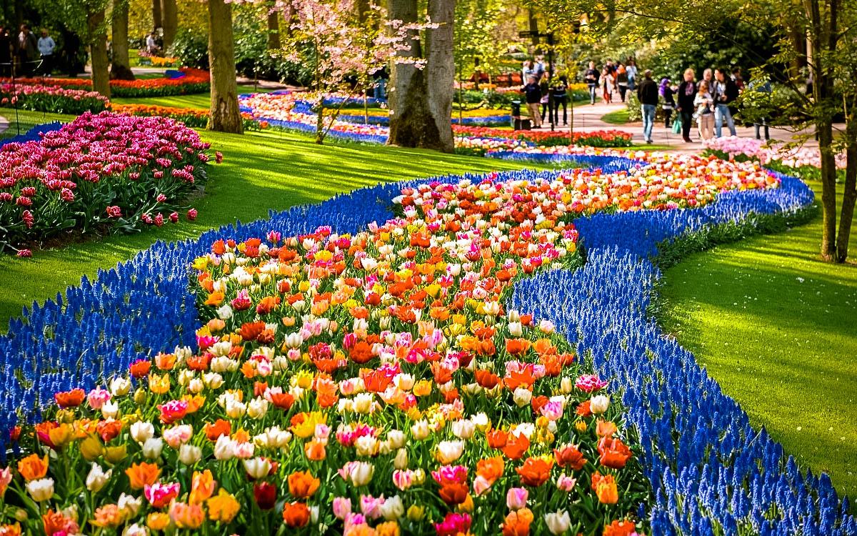 Keukenhof Garden