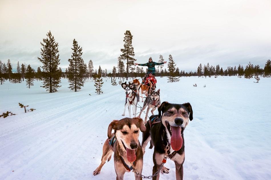 couple husky safari in Lapland