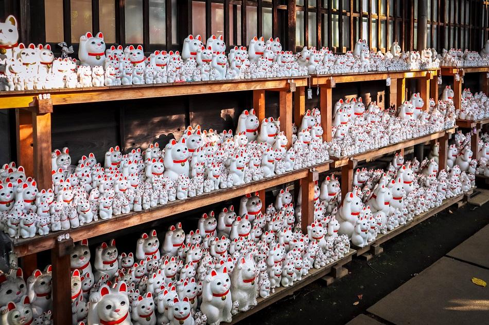 Lucky Cat Temple Tokyo