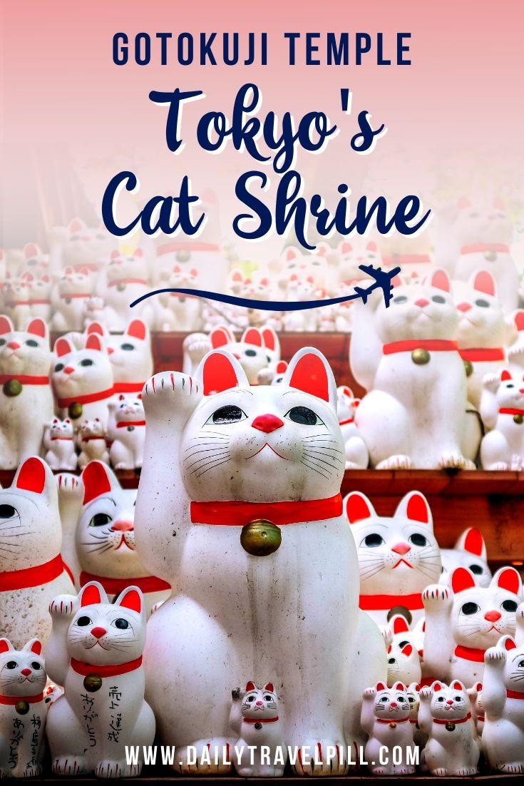 Tokyo Cat Shrine - Gotokuji Temple