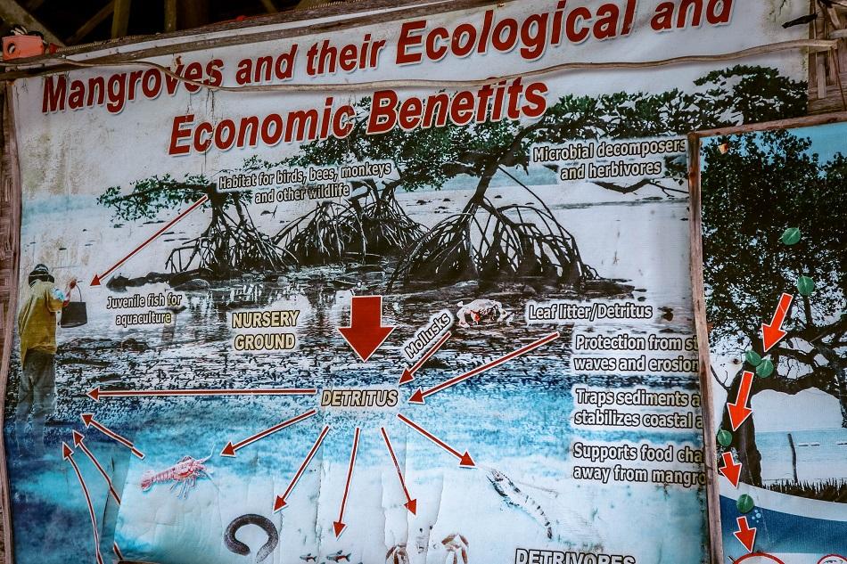 Guiwanon Spring Park, Siquijor