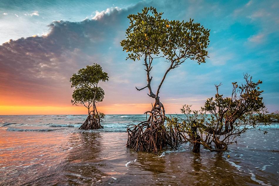 Guiwanon Spring Park, Siquijor