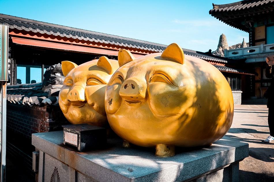 Golden piigs at Haedong Yonggungsa Temple