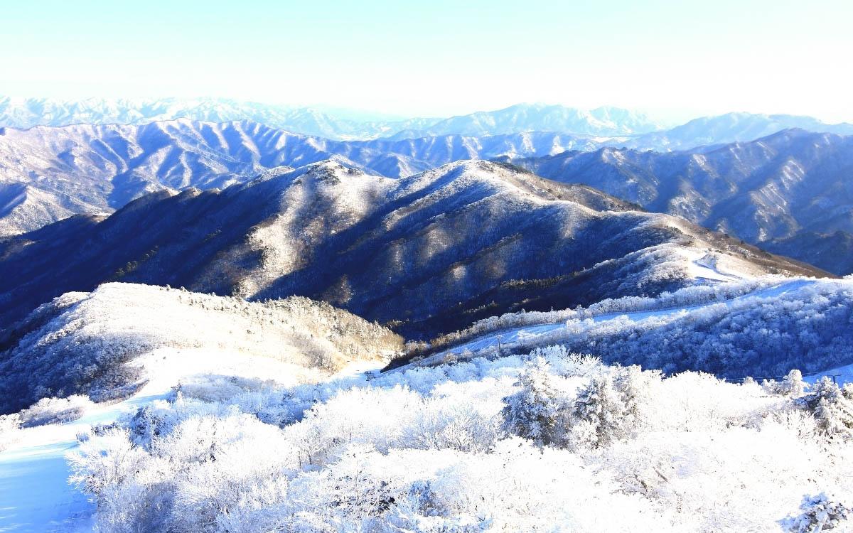 Hallasan Mountain in winter covered in snow - things to do in South Korea in winter, South Korea winter activities, visiting South Korea in winter