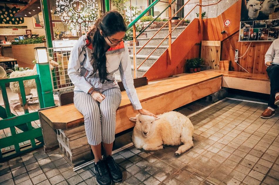 Thanks Nature Cafe, Hongdae, Seoul