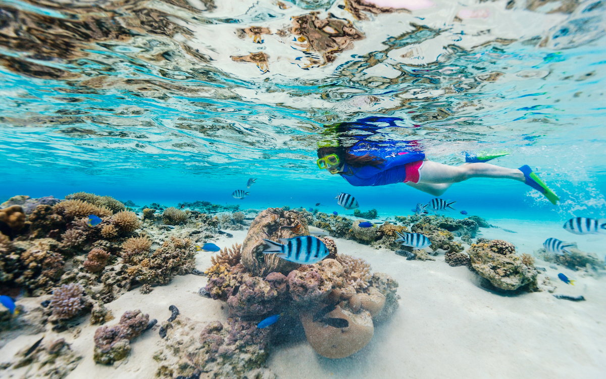 best snorkeling spots in Hurghada, best places for snorkeling in Hurghada, snorkeling in Hurghada, snorkeling places in Hurghada, Hurghada snorkeling places