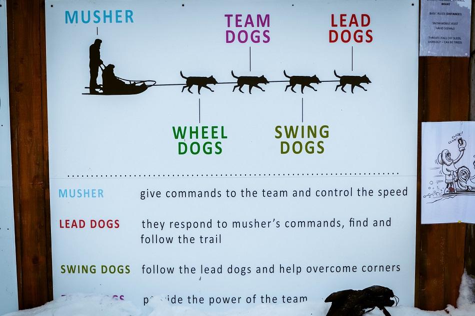 Husky safari guidelines