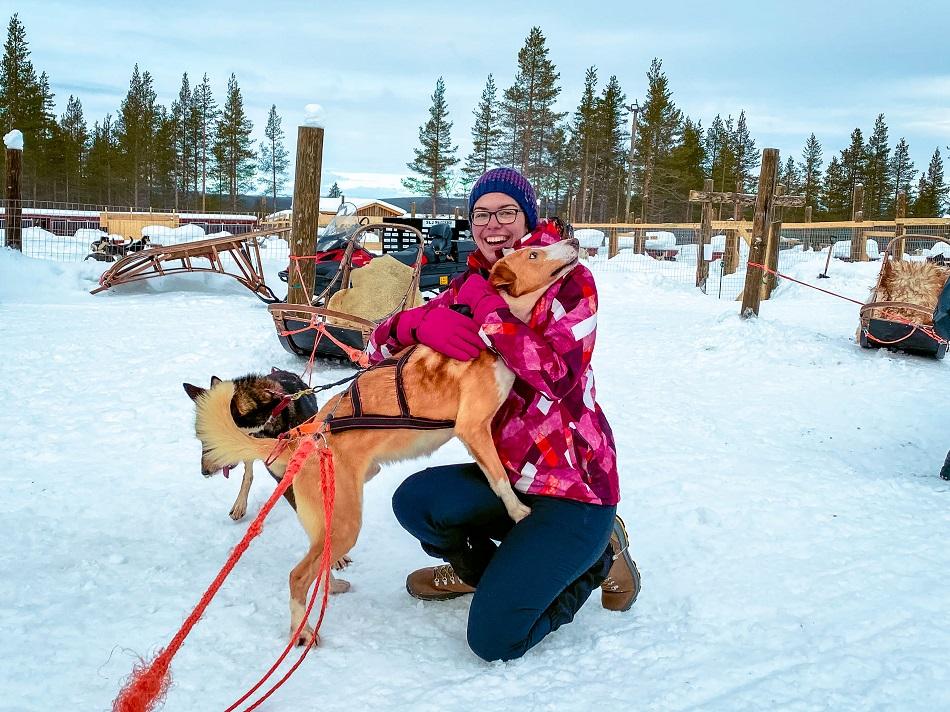 playing with a cute husky in Lapland, Finland