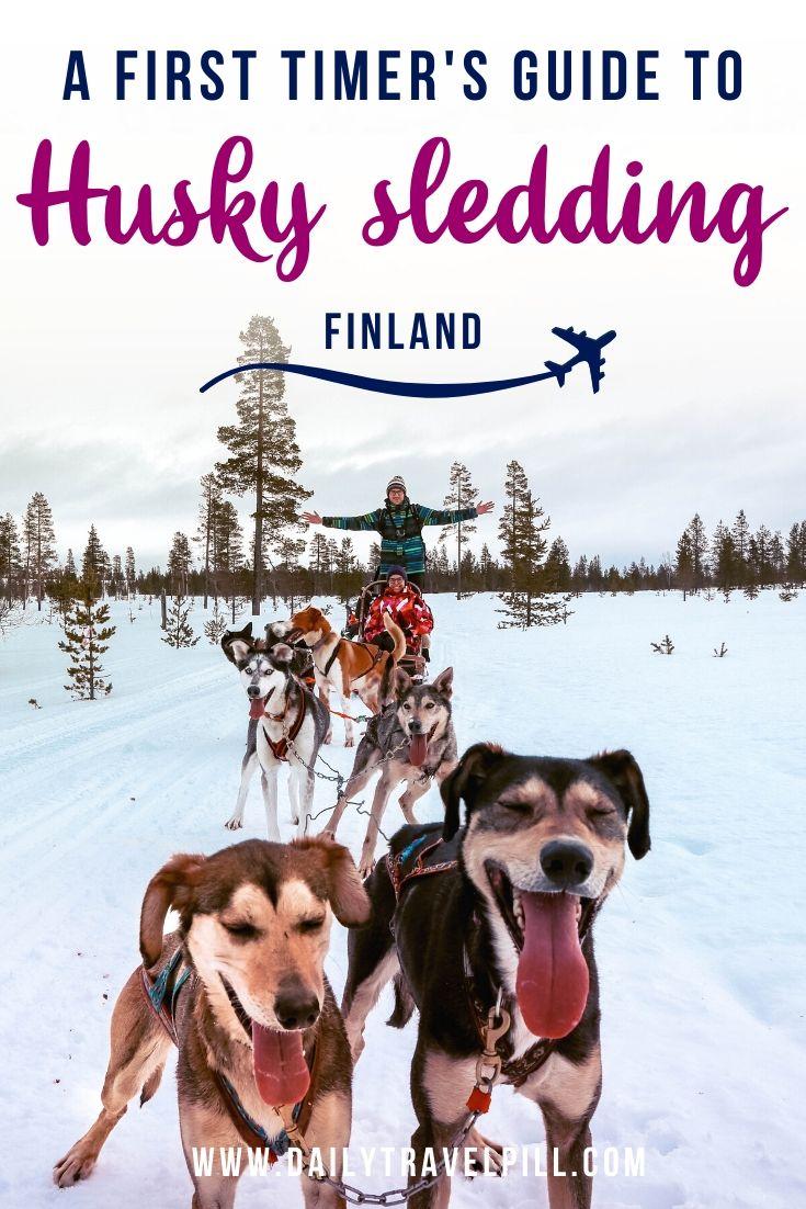 Husky dog sledding Lapland, Finland