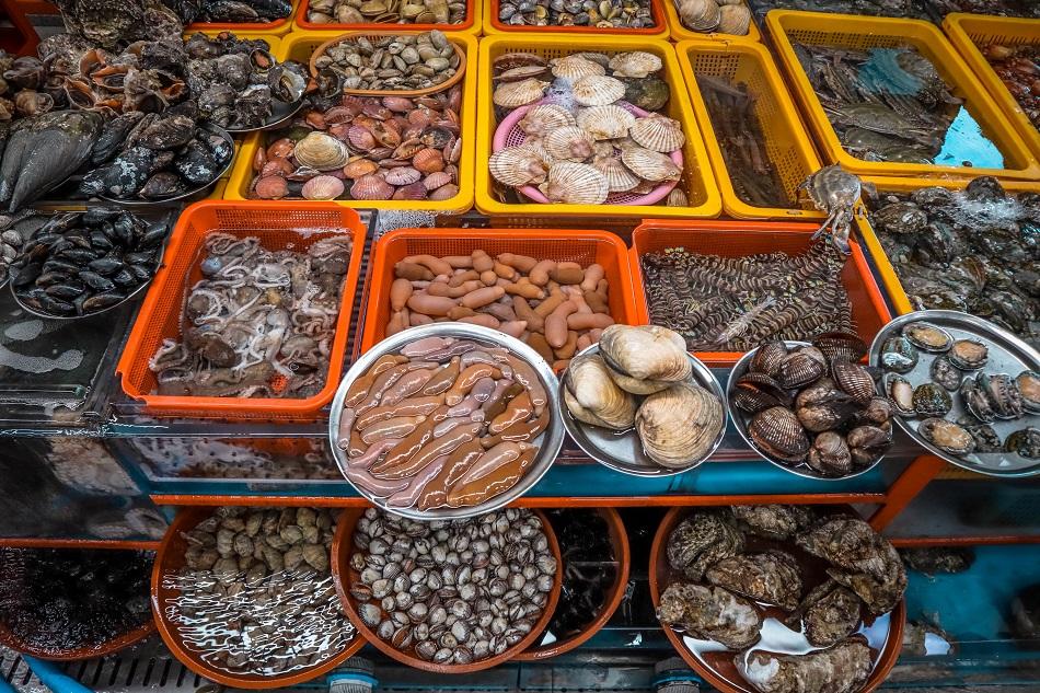 Displayed fish at Busan Jagalchi Fish Market