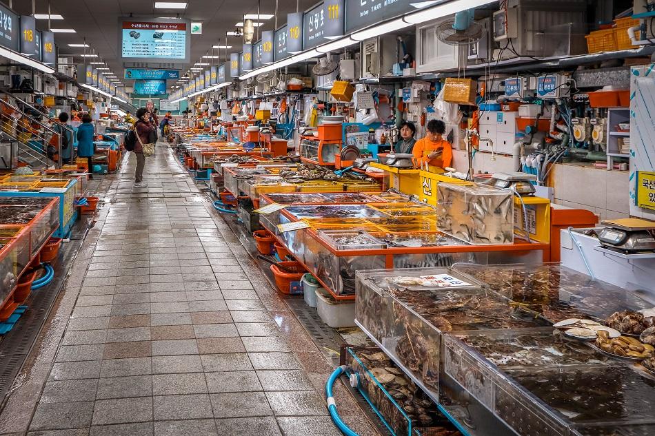 Busan Jagalchi Fish Market