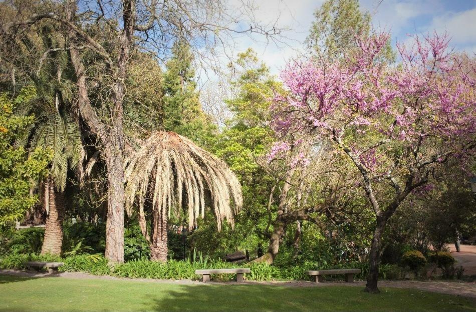 Jardim da Estrela Lisbon - trees and garden