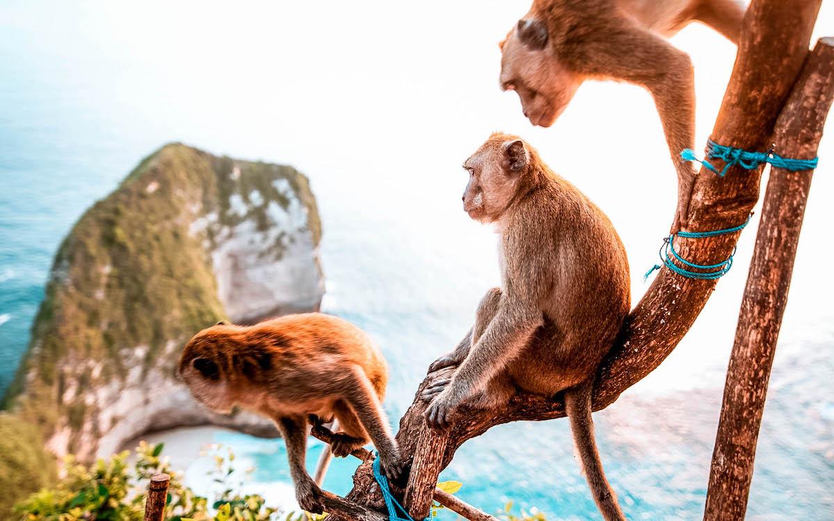 Nusa Penida photography locations, Nusa Penida photography spots, Instagrammable places Nusa Penida, Nusa Penida instagram locations, places to potography in Nusa Penida, Nusa Penida photography