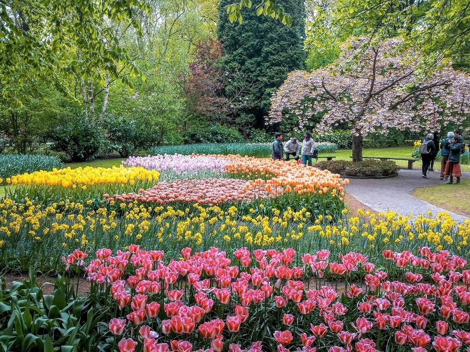 Day trip to Keukenhof, Netherlands