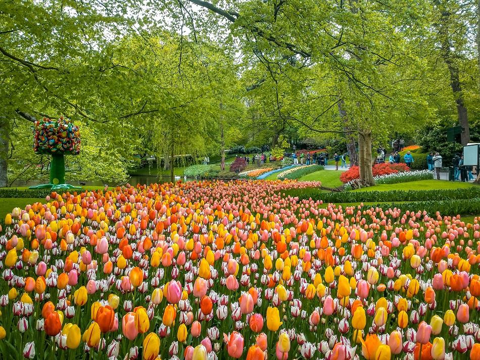 Day trip to Keukenhof, Netherlands