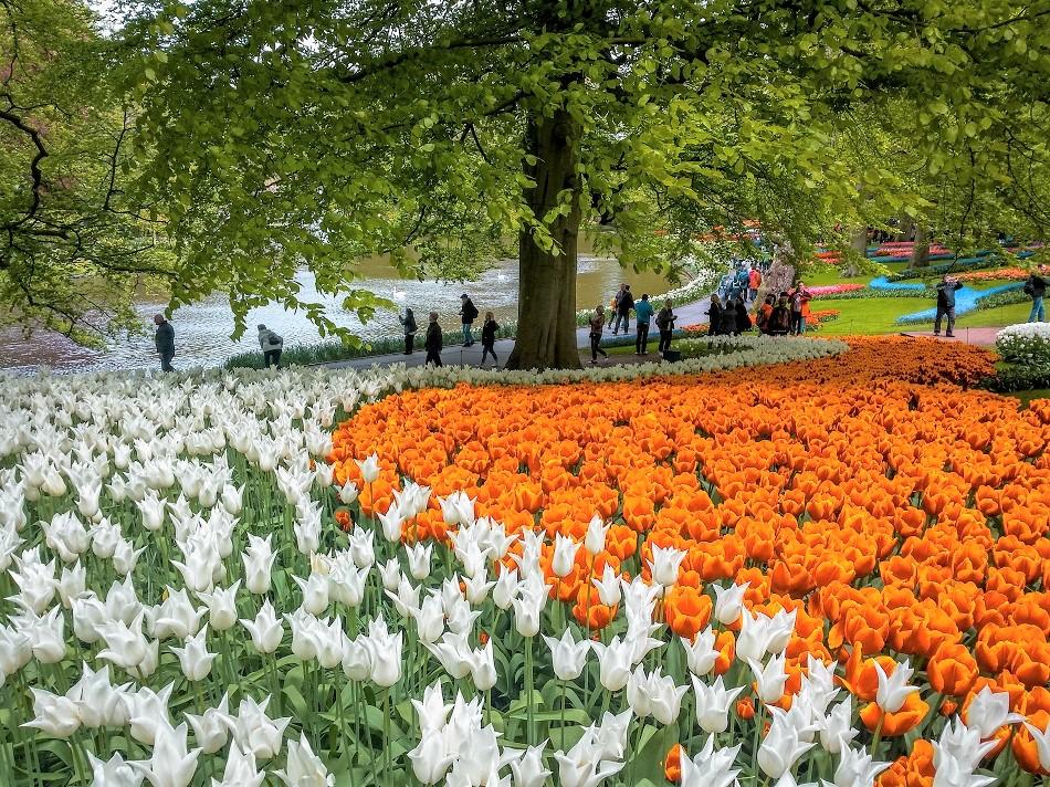 Day trip to Keukenhof, Netherlands