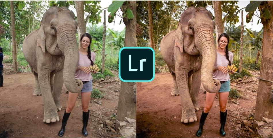 Lightroom photography talk