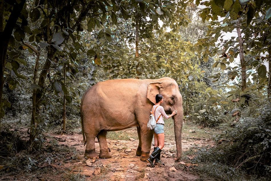 Mandalao Elephant Sanctuary, Luang Prabang, Laos