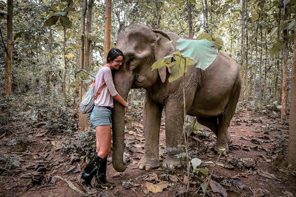 Hugging elephants at Mandalao Elephant Sanctuary, Luang Prabang, Laos