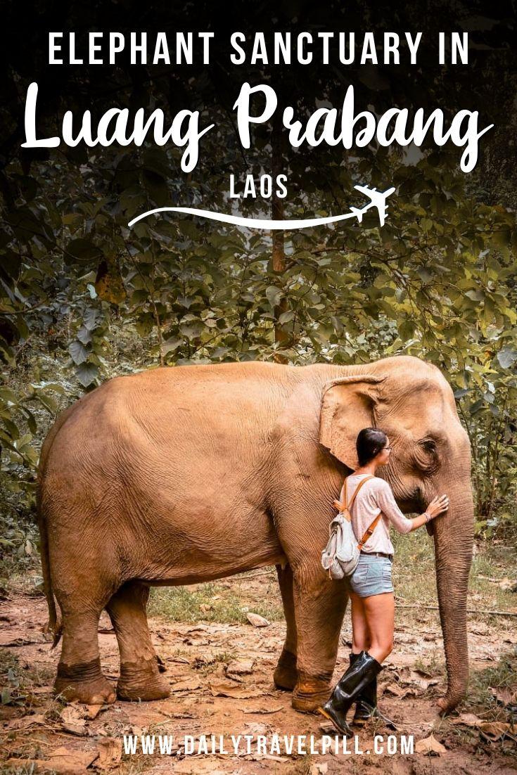 Mandalao ethical elephant sanctuary in Luang Prabang, Laos