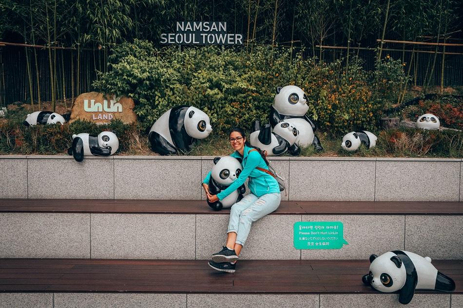 N Seoul Tower pandas