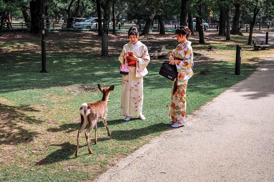 Kimono girls at Nara Park, Japan