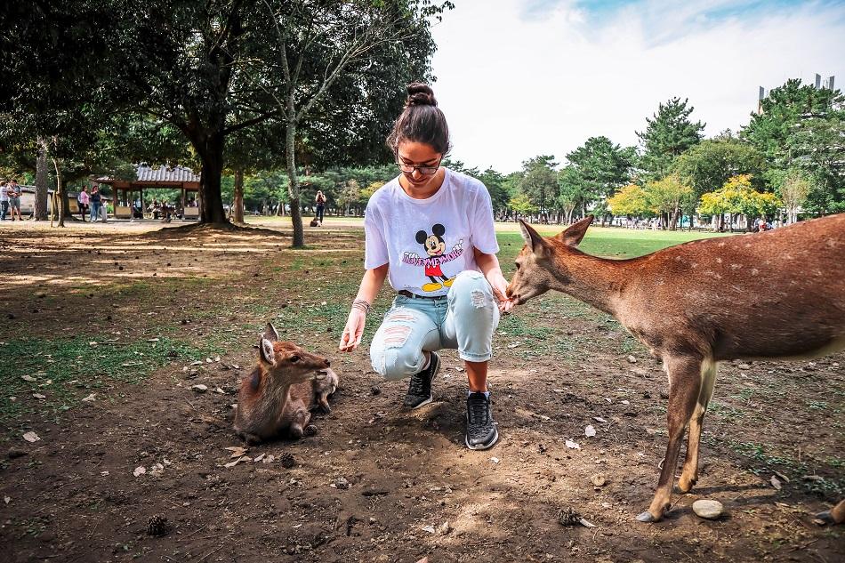 Girl near deer at Nara Park, Japan