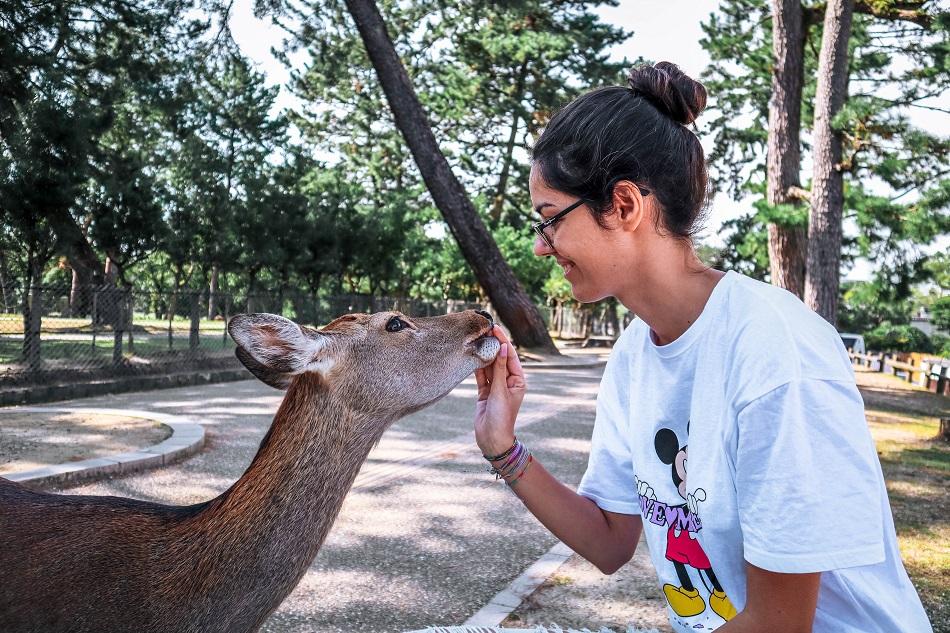 Girl feeding a deer at Nara Park, Japan