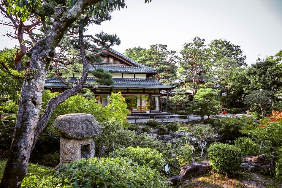 Japanese garden at Nara Park, Japan