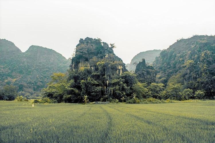 Ninh Binh rice fields - road to Thai Vi Temple