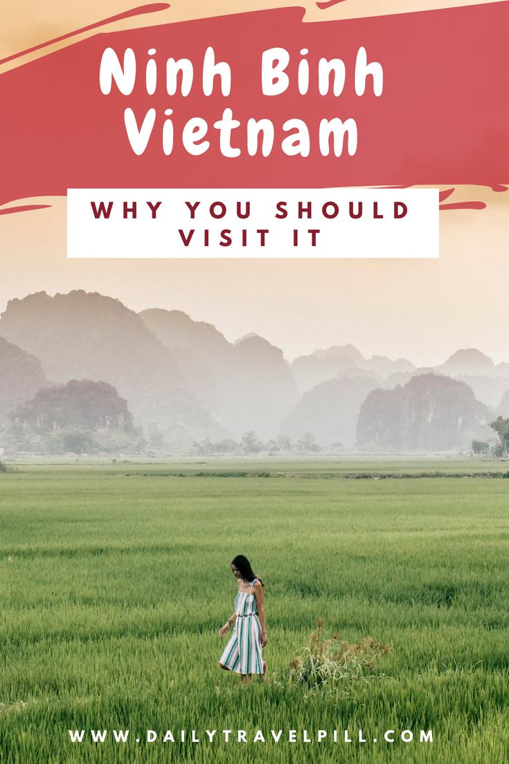 see rice fields in Ninh Binh Vietnam