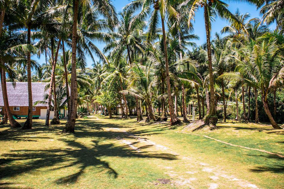 Pacifico Beach Resort Siargao