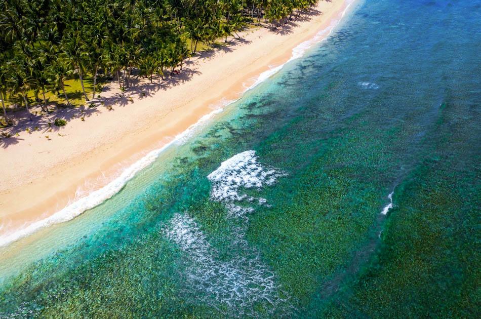 Pacifico Beach Siargao drone view. Palm trees near Pacifico Beach Resort in Siargao, Philippines