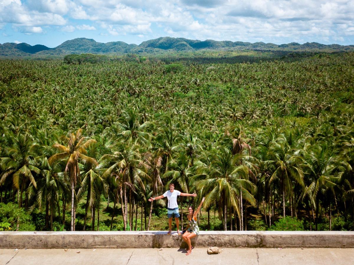 Siargao Palm Tree Lookout, Siargao Coconut Tree viewpoint, palm trees Siargao, Siargao coconut tree Lookout