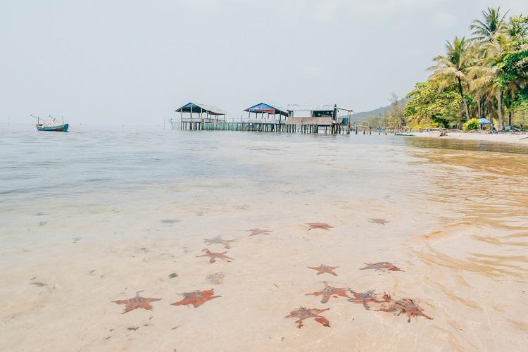 Phu Quoc Starfish Beach