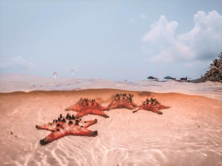 Phu Quoc Starfish Beach