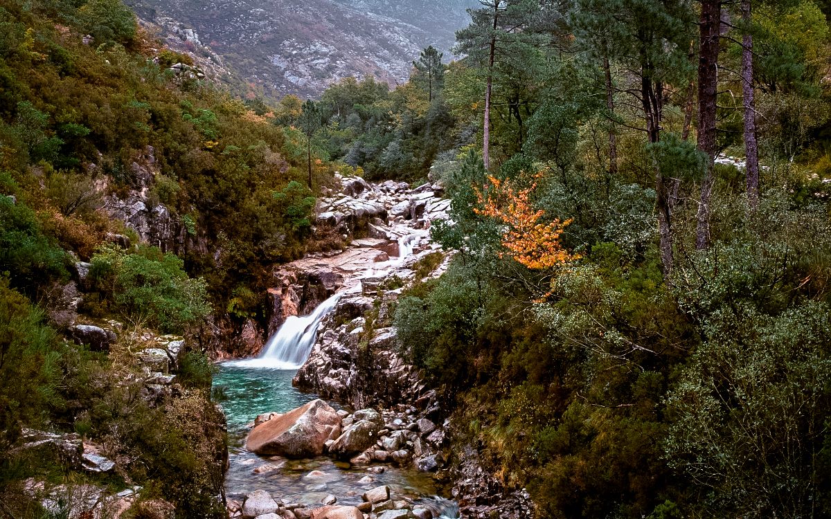 day trips from porto, places to visit from porto, destinations near porto, porto day trips